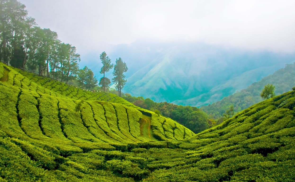 chennai to idukki taxi service