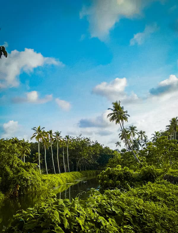 chennai to kottayam taxi service