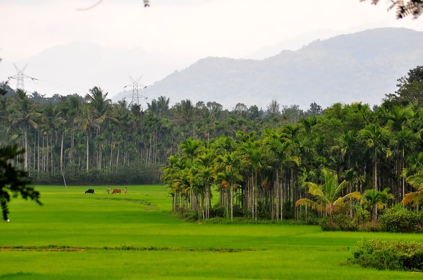 Wayanad